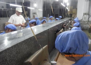 专业玩具加工与塑胶配件生产 技术、价格与咨询服务全解析